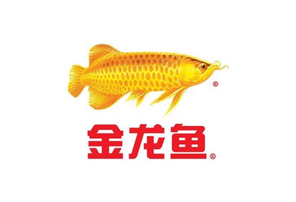 永坤減速機廠家客戶見證之金龍魚食用油全自動生產線